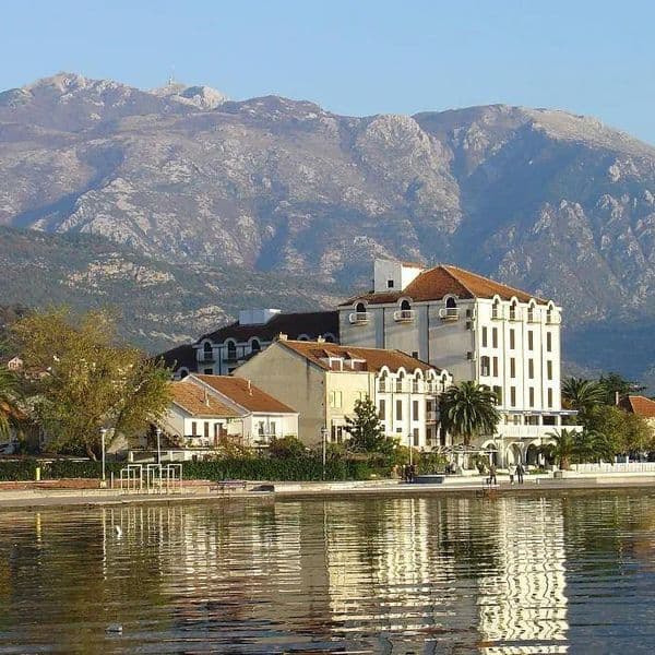 Palma (Tivat)