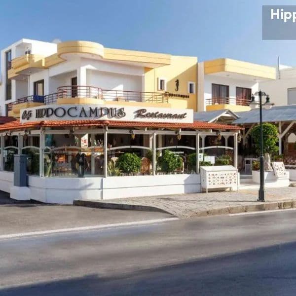 Hippocampus