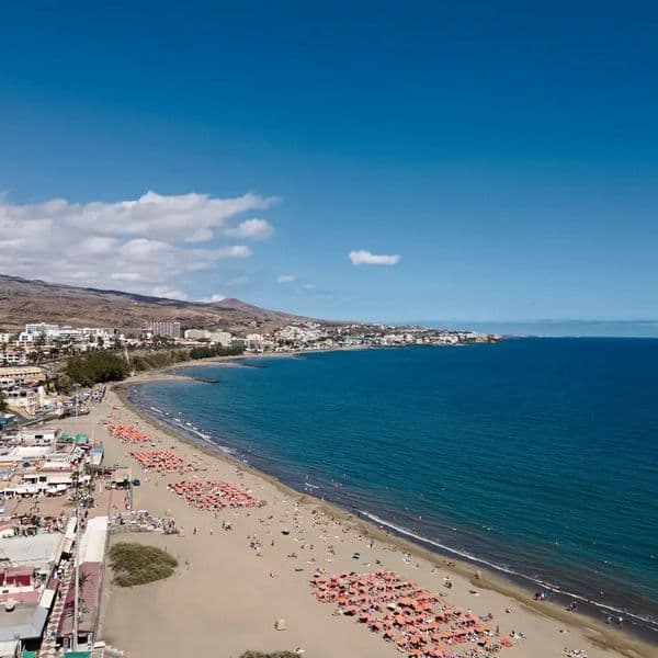 El Palmar