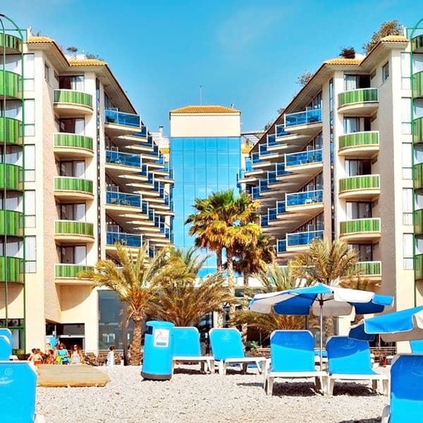 Kaktus Albir