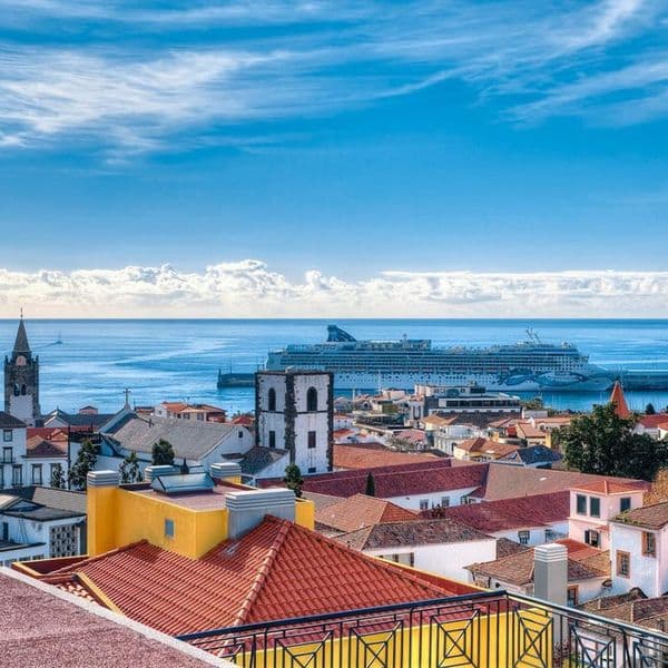 Orquidea (Funchal)