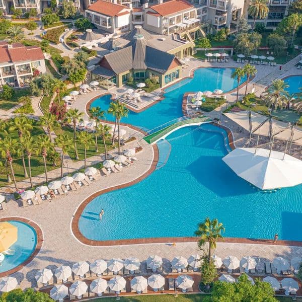 Arum Barut