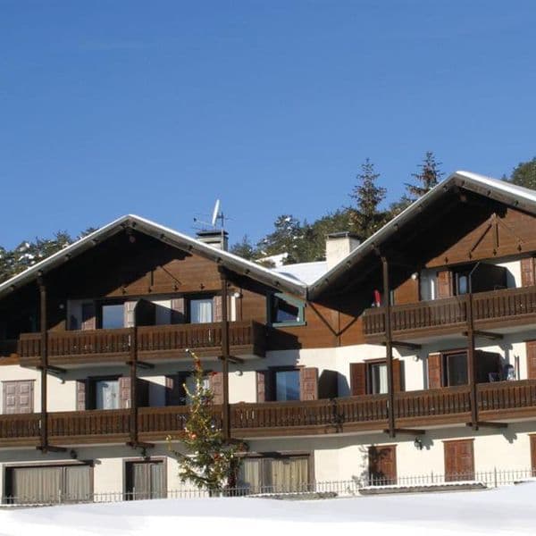 Fior D'Alpe