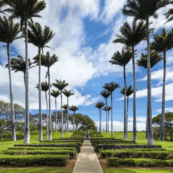 The Westin Hapuna Beach Resort (Ex - Hapuna Beach Prince )