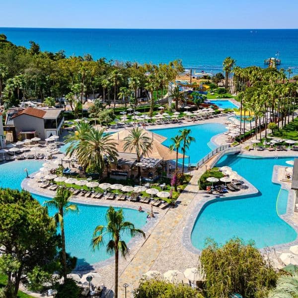 Arum Barut
