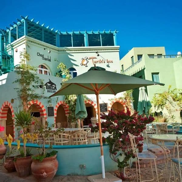 Turtles Inn