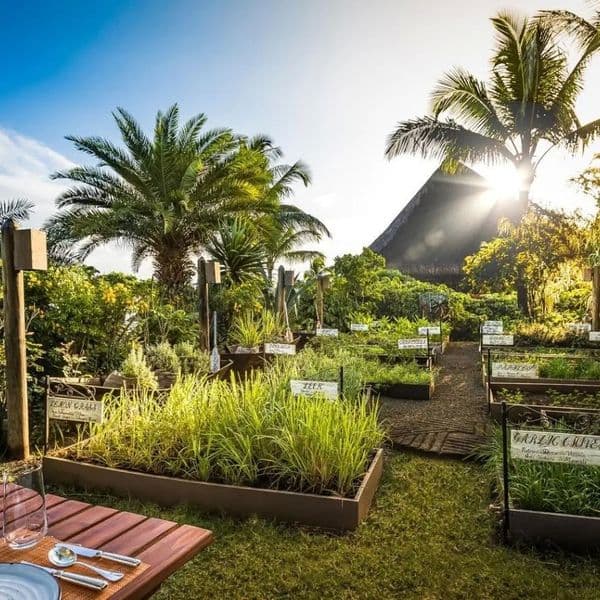 The Oberoi Beach Resort (Pointe aux Piments)