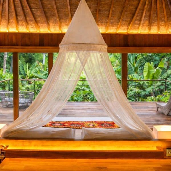 Kappa Senses (Zanzibar)
