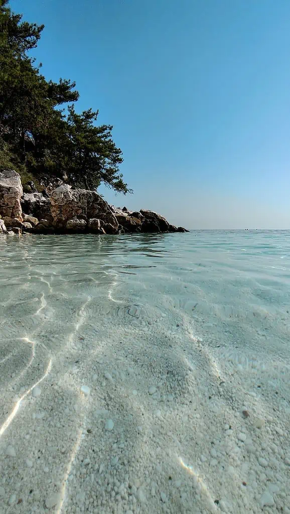 a body of water with rocks and trees around it