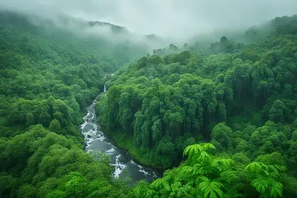 Kostaryka kiedy jest pora deszczowa